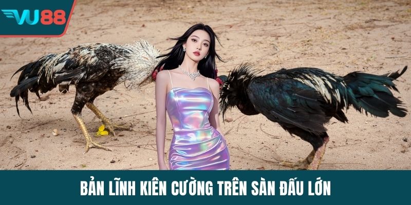 Bản lĩnh kiên cường trên sàn đấu lớn