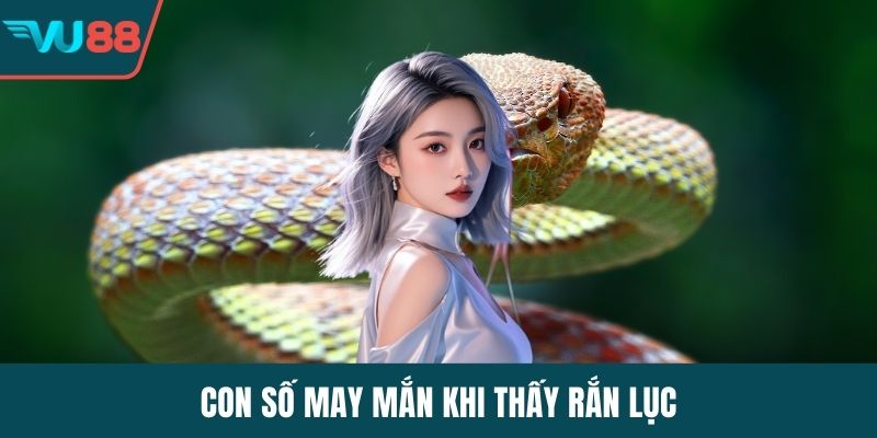 Con số may mắn khi thấy rắn lục