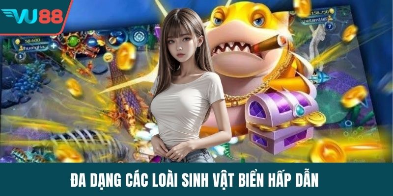 Đa dạng các loài sinh vật biển hấp dẫn