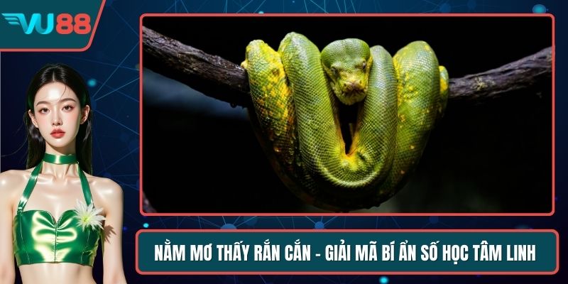 Nằm Mơ Thấy Rắn Cắn - Giải Mã Bí Ẩn Số Học Tâm Linh