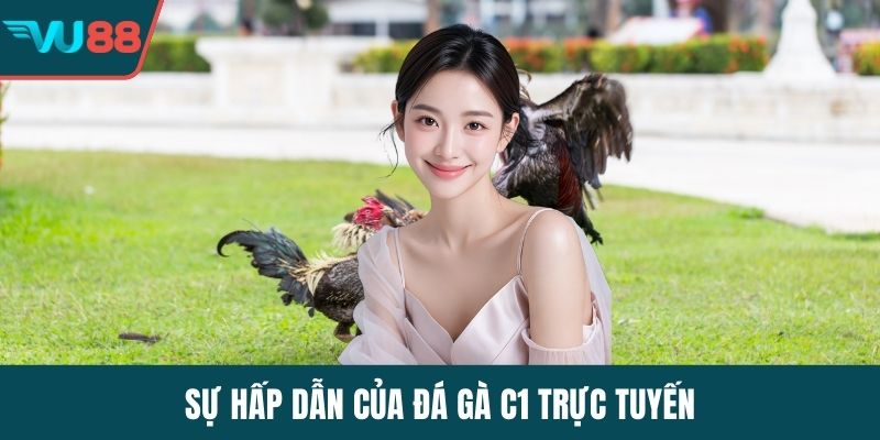 Sự hấp dẫn của đá gà C1 trực tuyến