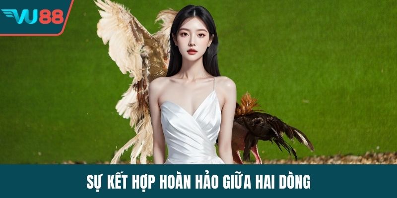 Sự kết hợp hoàn hảo giữa hai dòng