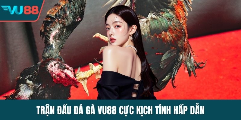 Trận đấu đá gà VU88 cực kịch tính hấp dẫn